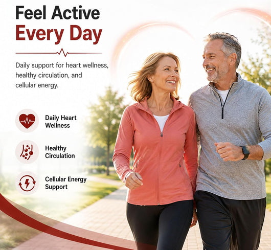 EverWell® Fermented Black Garlic Extract + CoQ10 Ubiquinol